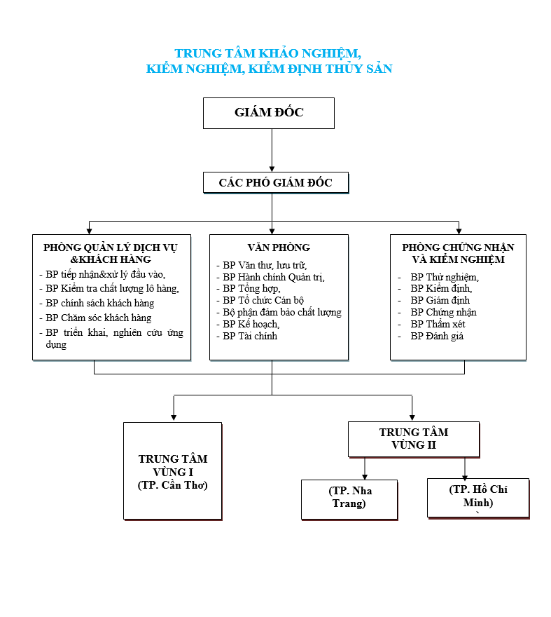 Sơ đồ tổ chức 6.2025